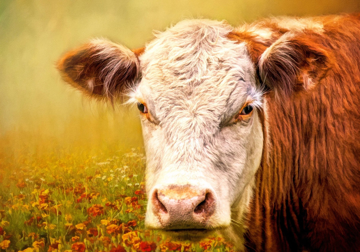 A Handsome Hereford Panel 20in x 14in Quilt Pattern by Focus on Fabric