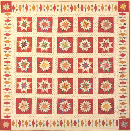 Sowing Seeds Quilt Pattern by American Jane Patterns