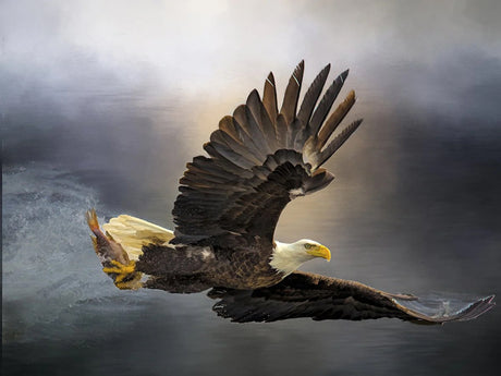 Bald Eagle with Dinner Panel 24in x 18in Quilt Pattern by Focus on Fabric