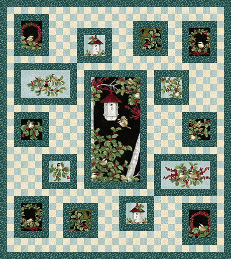 Bird's Eye View Quilt Pattern by Animas Quilts Publishing