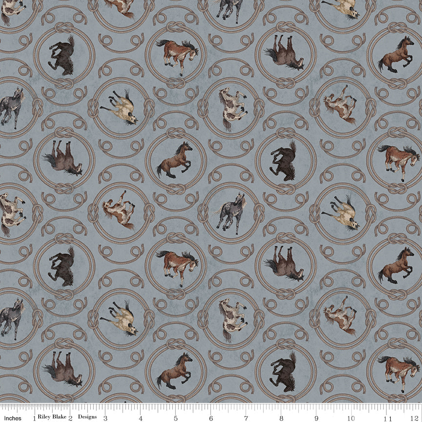 Horseshoe Creek Ropes Gray Quilt Fabric by Horseshoe Creek — RBD