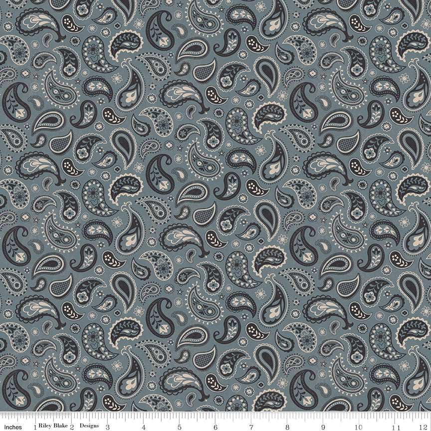 Horseshoe Creek Paisley Iron Quilt Fabric by Horseshoe Creek — RBD