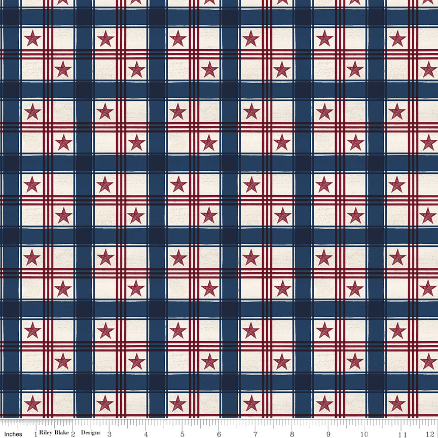 Valor Is Never Forgotten Plaid Multi