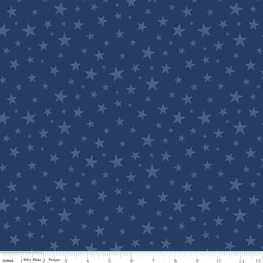 Valor Is Never Forgotten Stars Blue