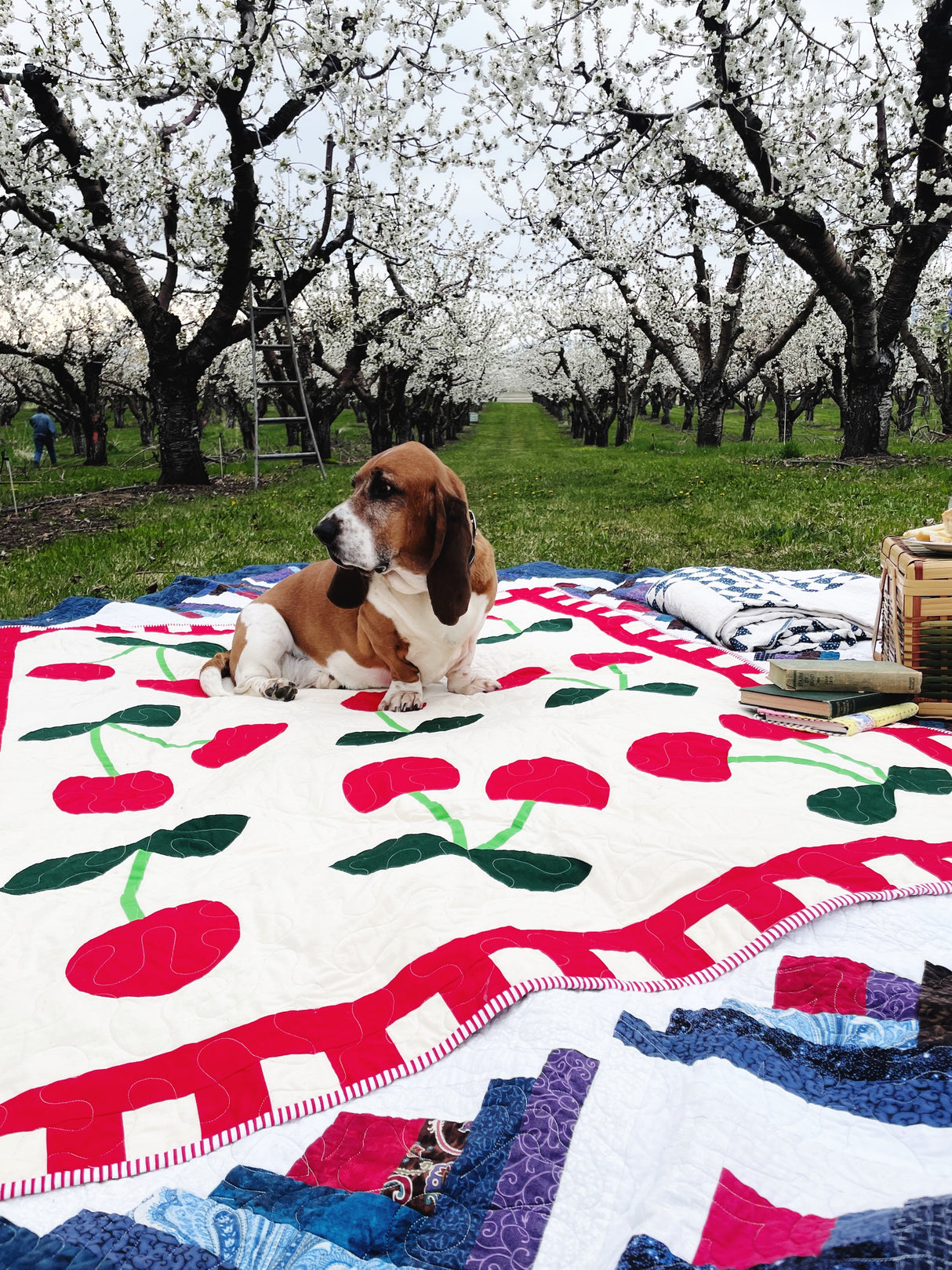 Cherry Delight Downloadable Pattern by Lolo