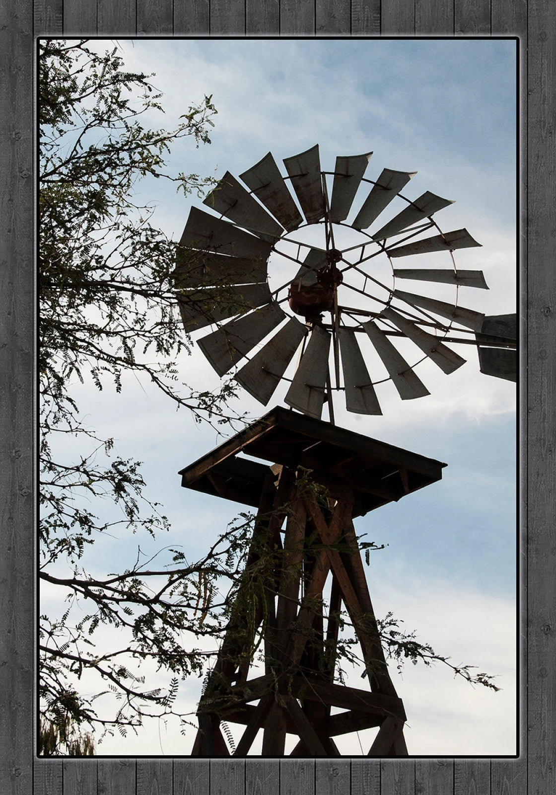 Windmill Silhouette 14.3x20.4in Panel Quilt Pattern by Focus on Fabric