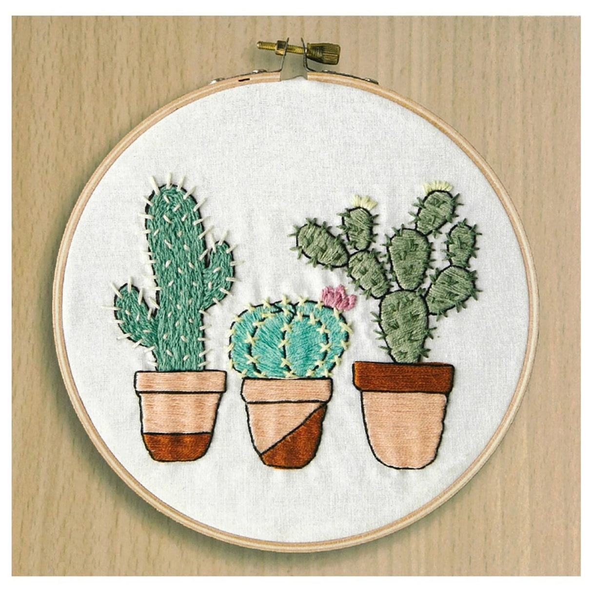 Leisure Arts Kit Embroidery 6in Cactus Garden by Leisure Arts