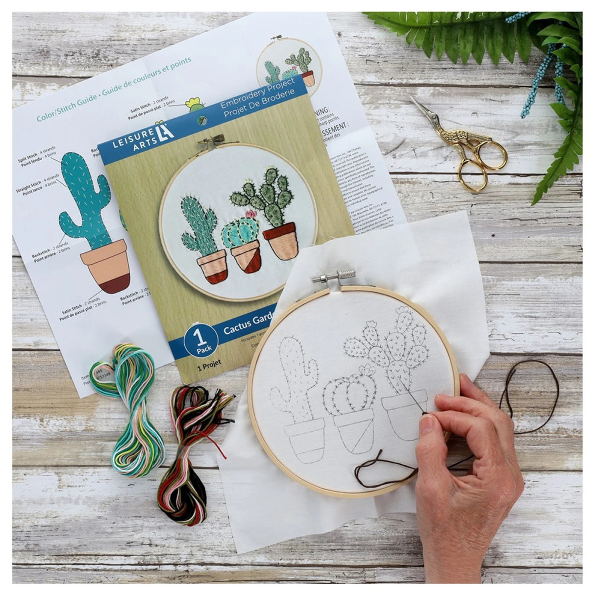 Leisure Arts Kit Embroidery 6in Cactus Garden by Leisure Arts