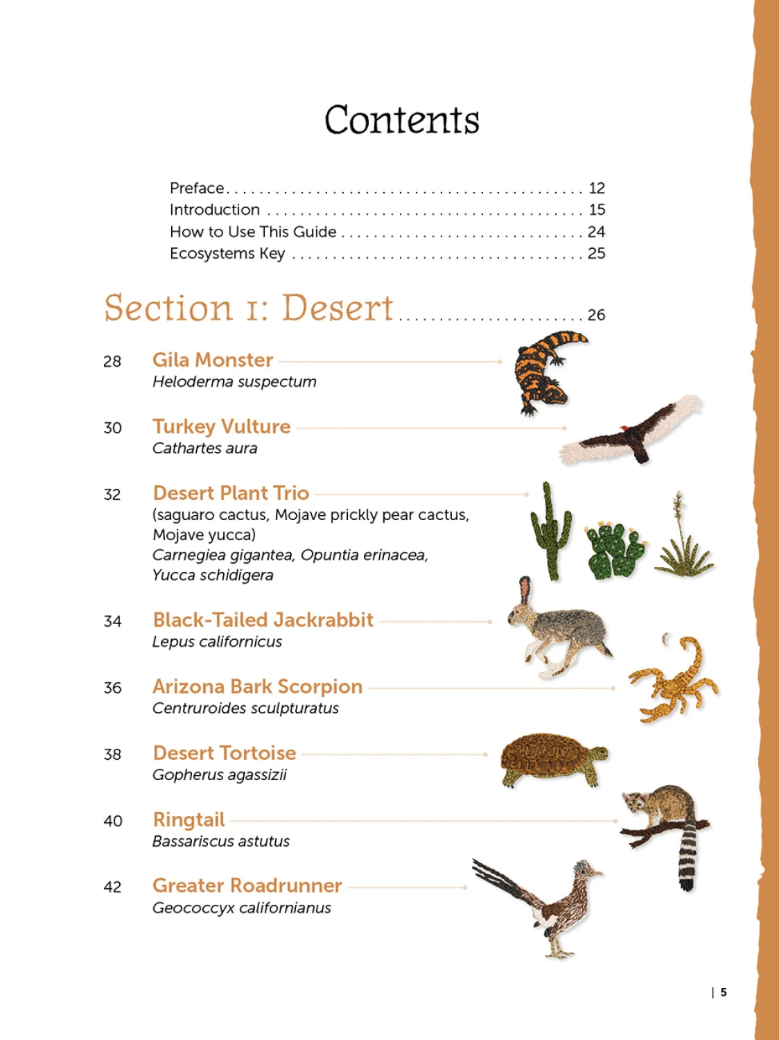 The Field Guide to Embroidery: 52 North American Animal & Plant Designs by Schiffer Publishing