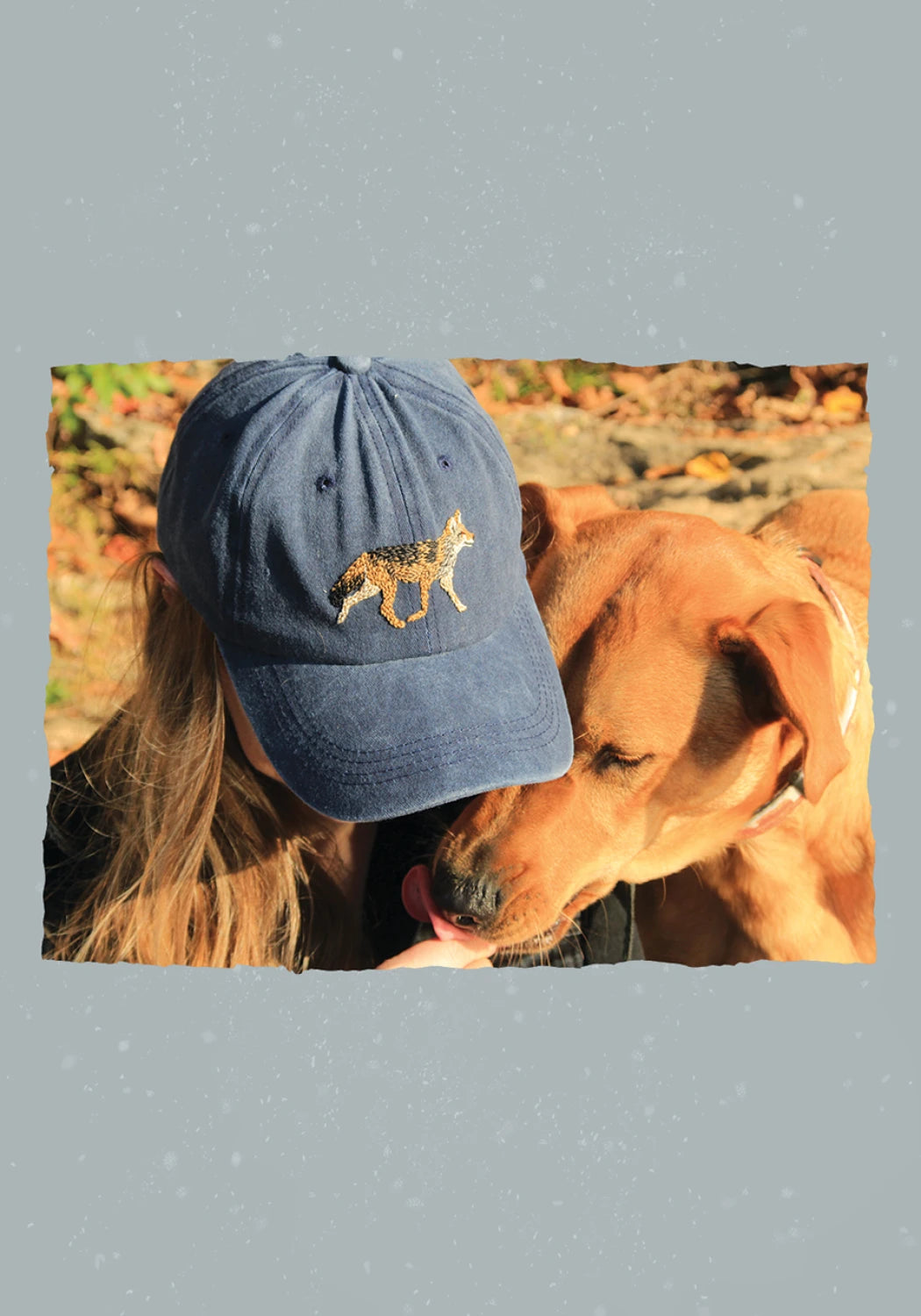 The Field Guide to Embroidery: 52 North American Animal & Plant Designs by Schiffer Publishing