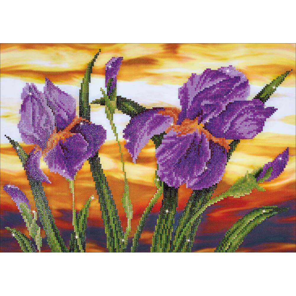 Iris Sunset Diamond Dotz painting