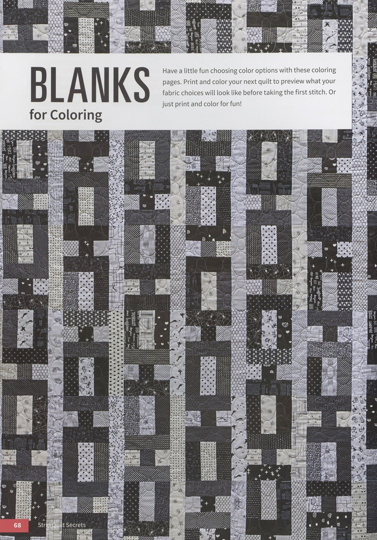 Strip Quilt Secrets