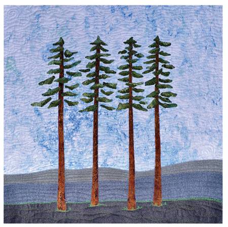 Beautiful Landscape Quilts by C & T Publishing