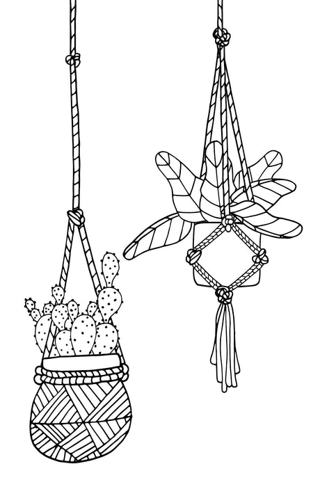 Urban Jungle Houseplants Succulents Cacti and More