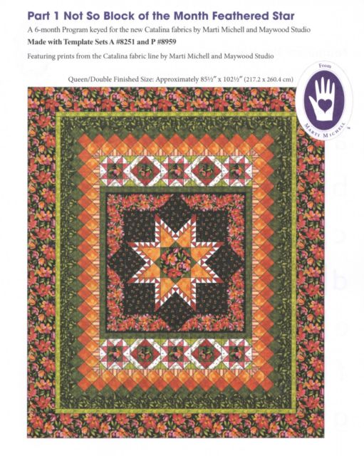 Not so Block of the Month Feathered Star