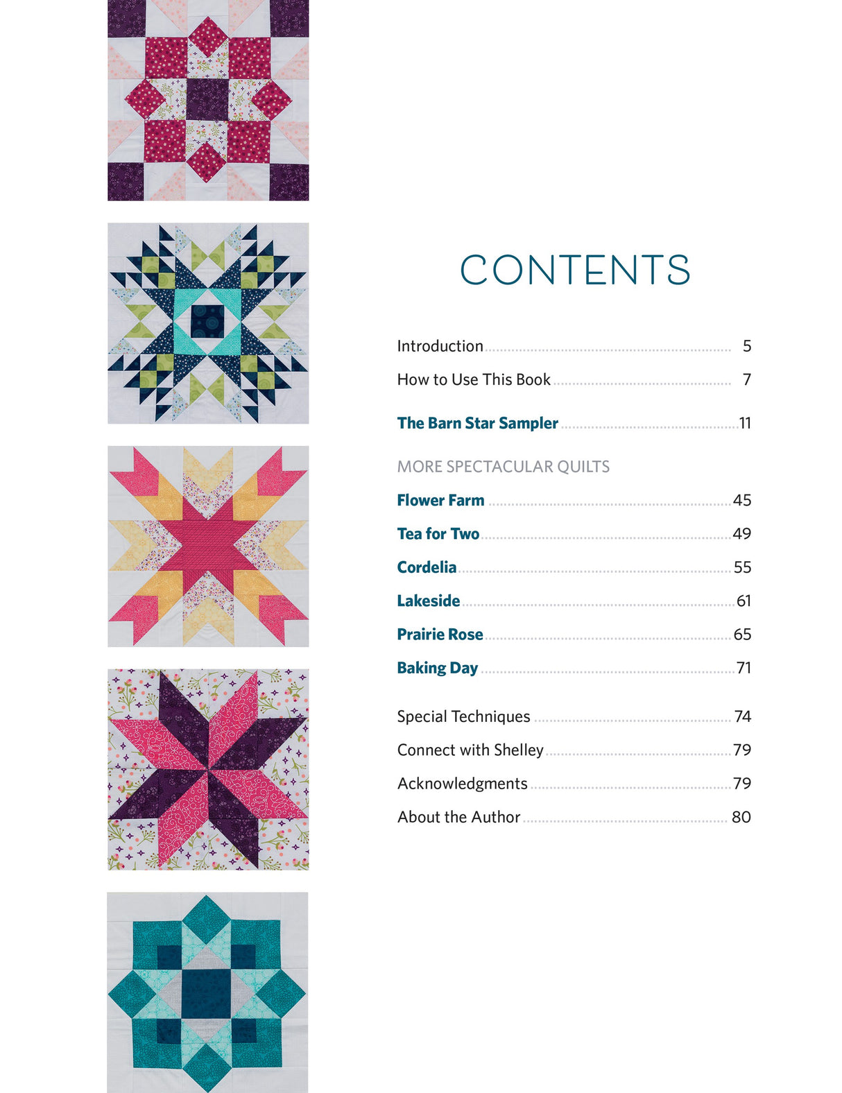 Barn Star Sampler by Martingale