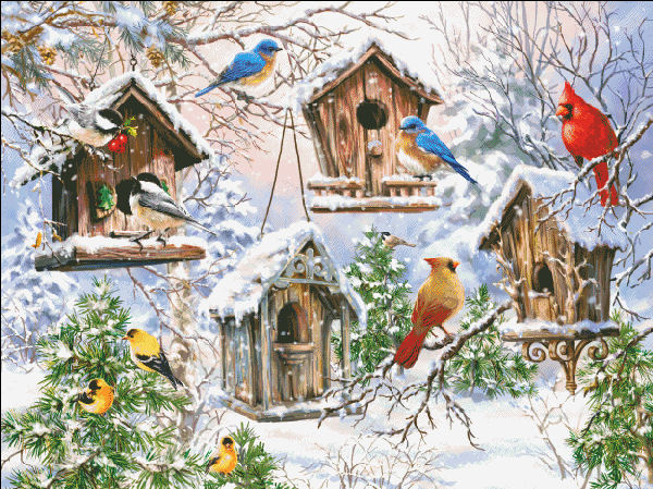 Birds Of A Feather Cross Stitch By Dona Gelsinger