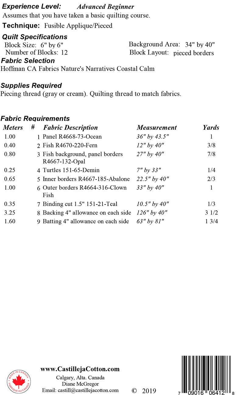 Turtles to the Ocean