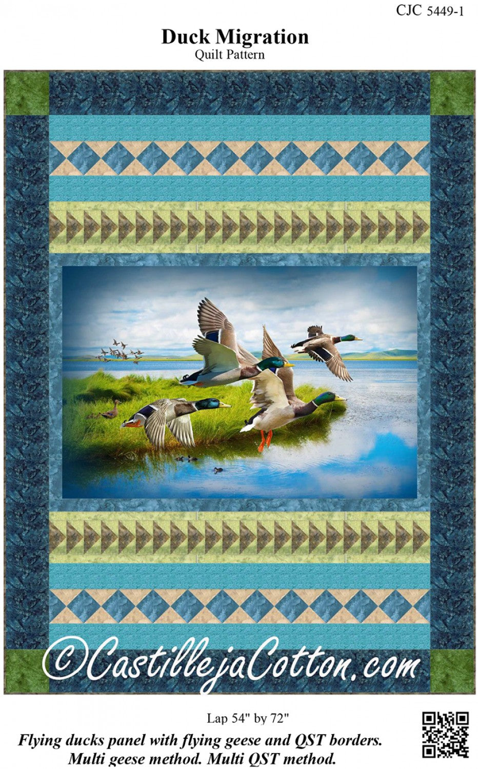 Duck Migration Pattern