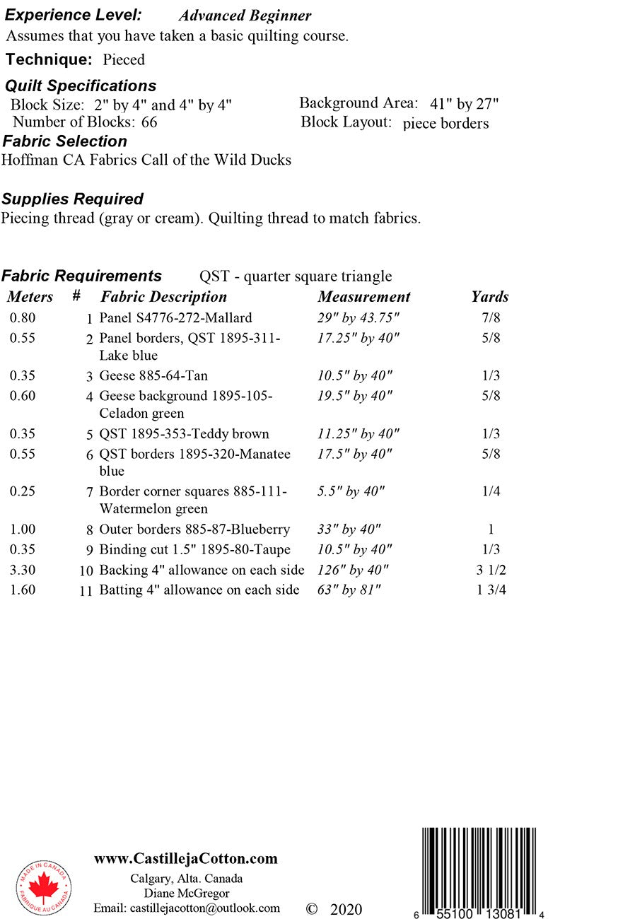 Duck Migration Pattern