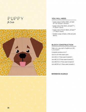 100 Paper Pieced Quilt Blocks