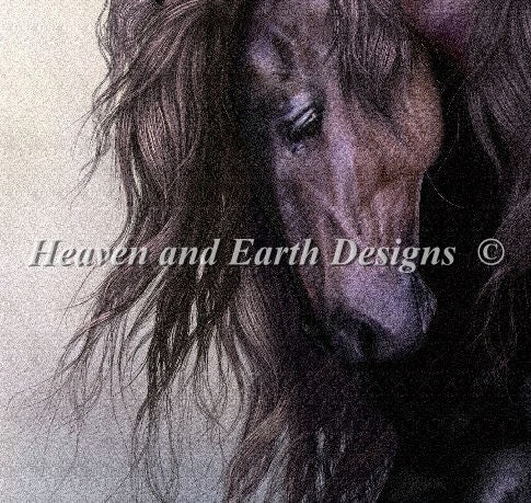 Equus Cross Stitch By Laurie Prindle