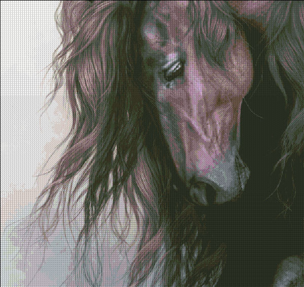 Equus Cross Stitch By Laurie Prindle