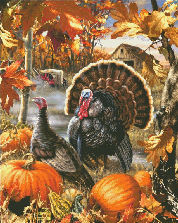 Gobbler Farms Cross Stitch By Dona Gelsinger