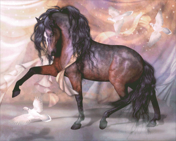 Gracioso Cross Stitch By Laurie Prindle