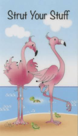 Magnet Strut You Stuff