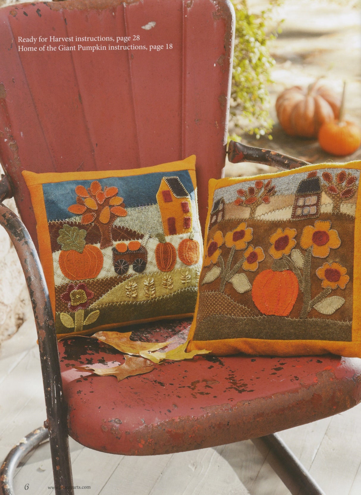 Cozy Wool Applique Pillows