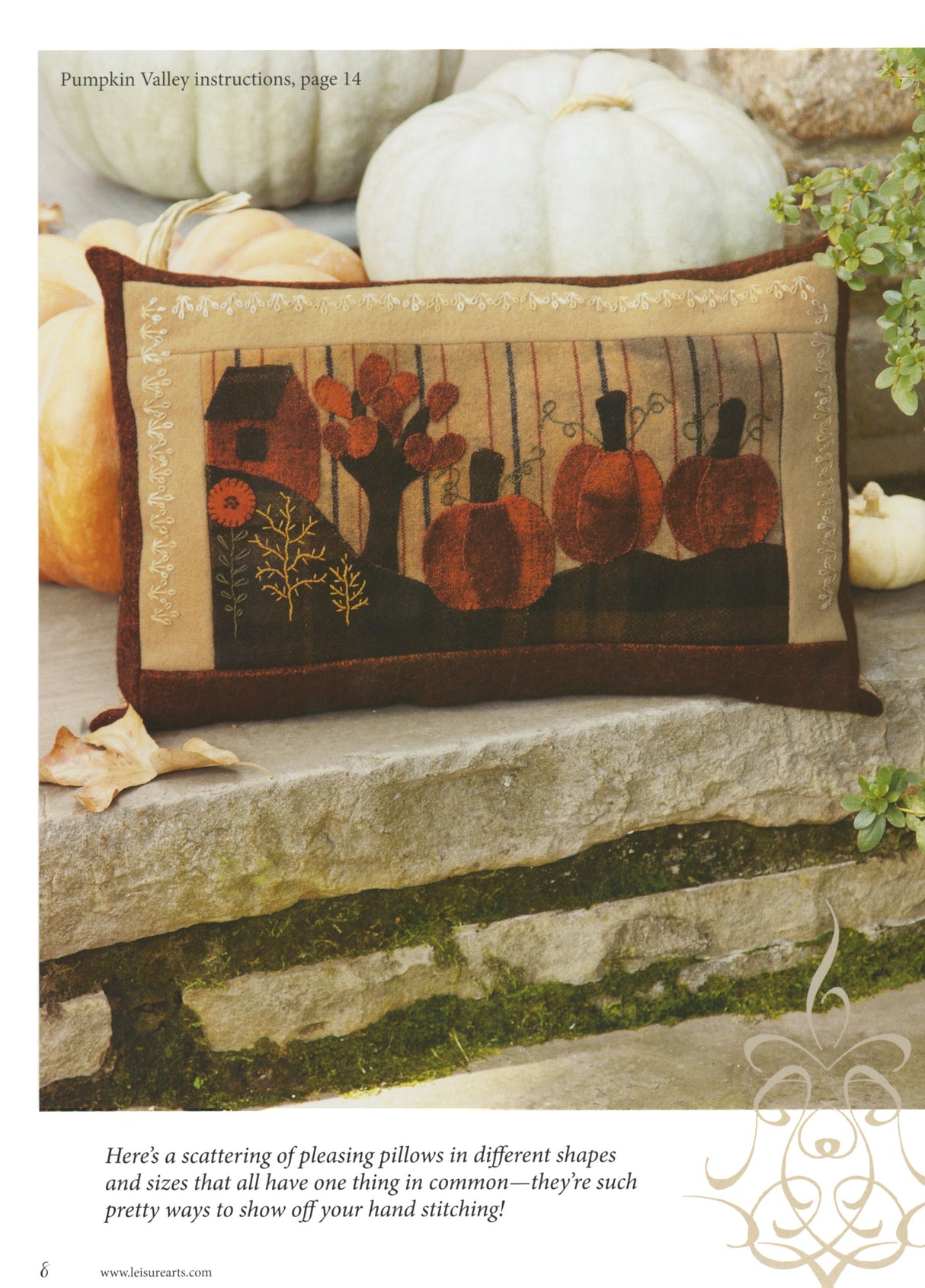 Cozy Wool Applique Pillows