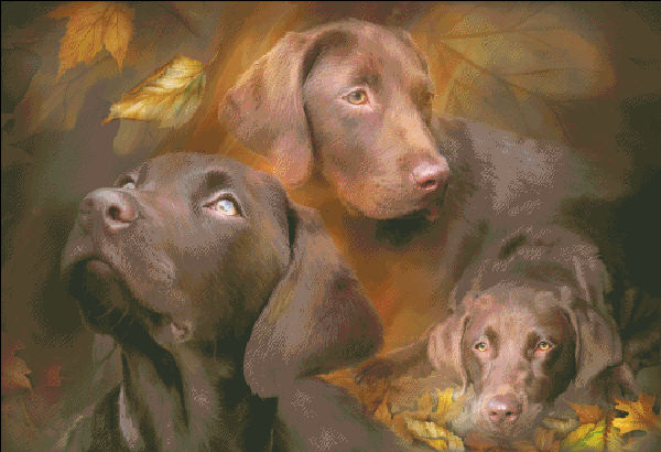 Lab In Autumn Cross Stitch By Carol Cavalaris