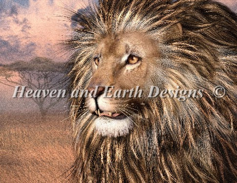 Soul Of The Masai Mara Cross Stitch By Laurie Prindle