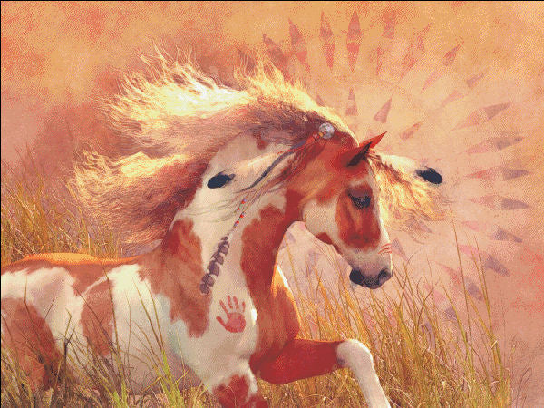 Sun Dancer Cross Stitch By Laurie Prindle