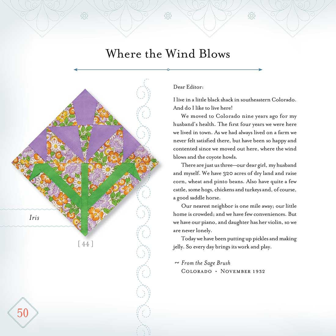 Farmer's Wife 1930's Sampler Quilt