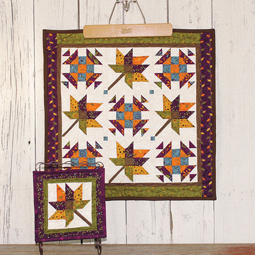 A Year Of Mini's - November