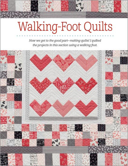 Pat Sloan's Teach Me to Machine Quilt