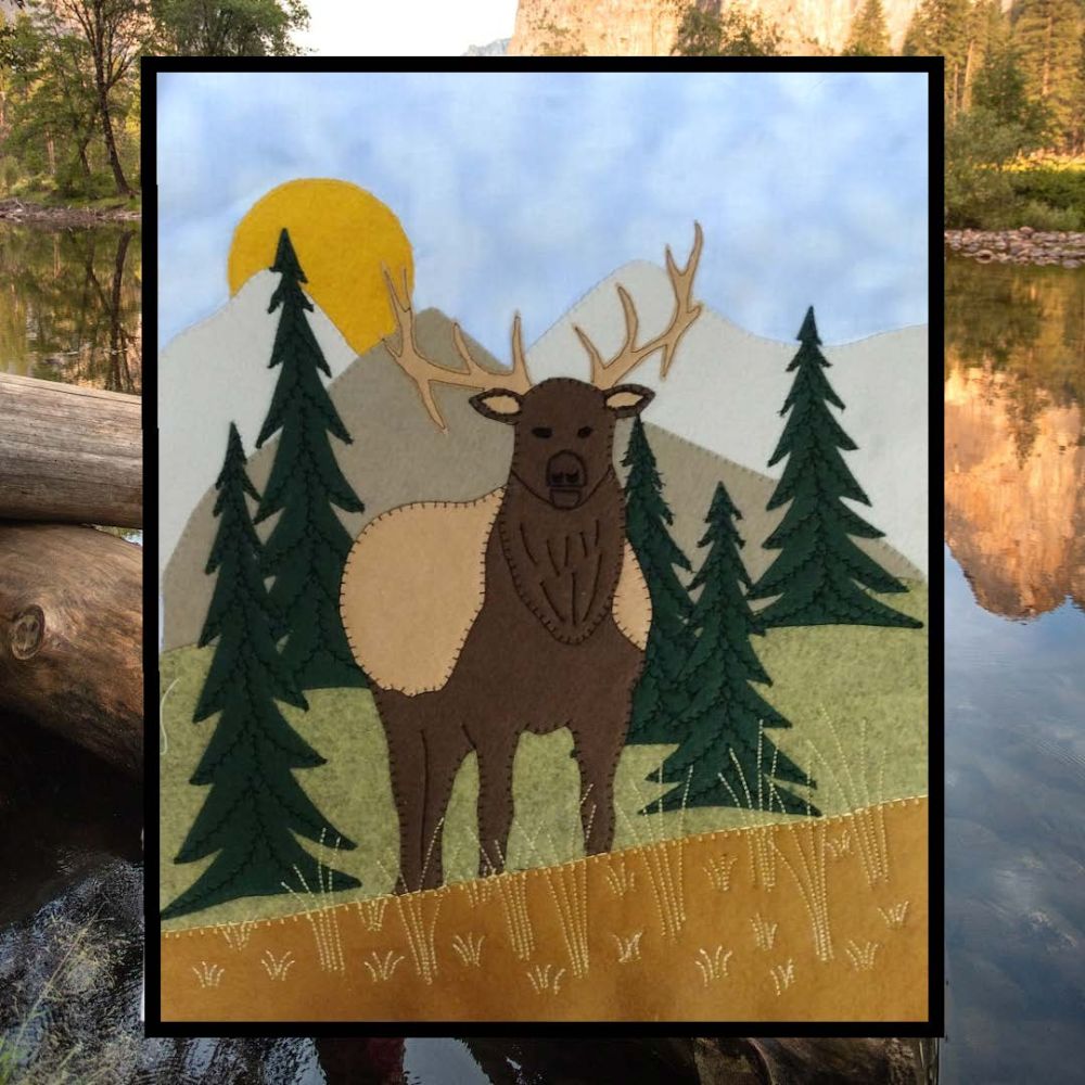 Big Sky Downloadable Pattern by Rachels of Greenfield