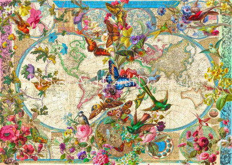 Birds Butterflies and Blooms World Map Cross Stitch by Aimee Stewart