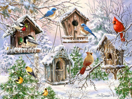 Birds Of A Feather Cross Stitch By Dona Gelsinger