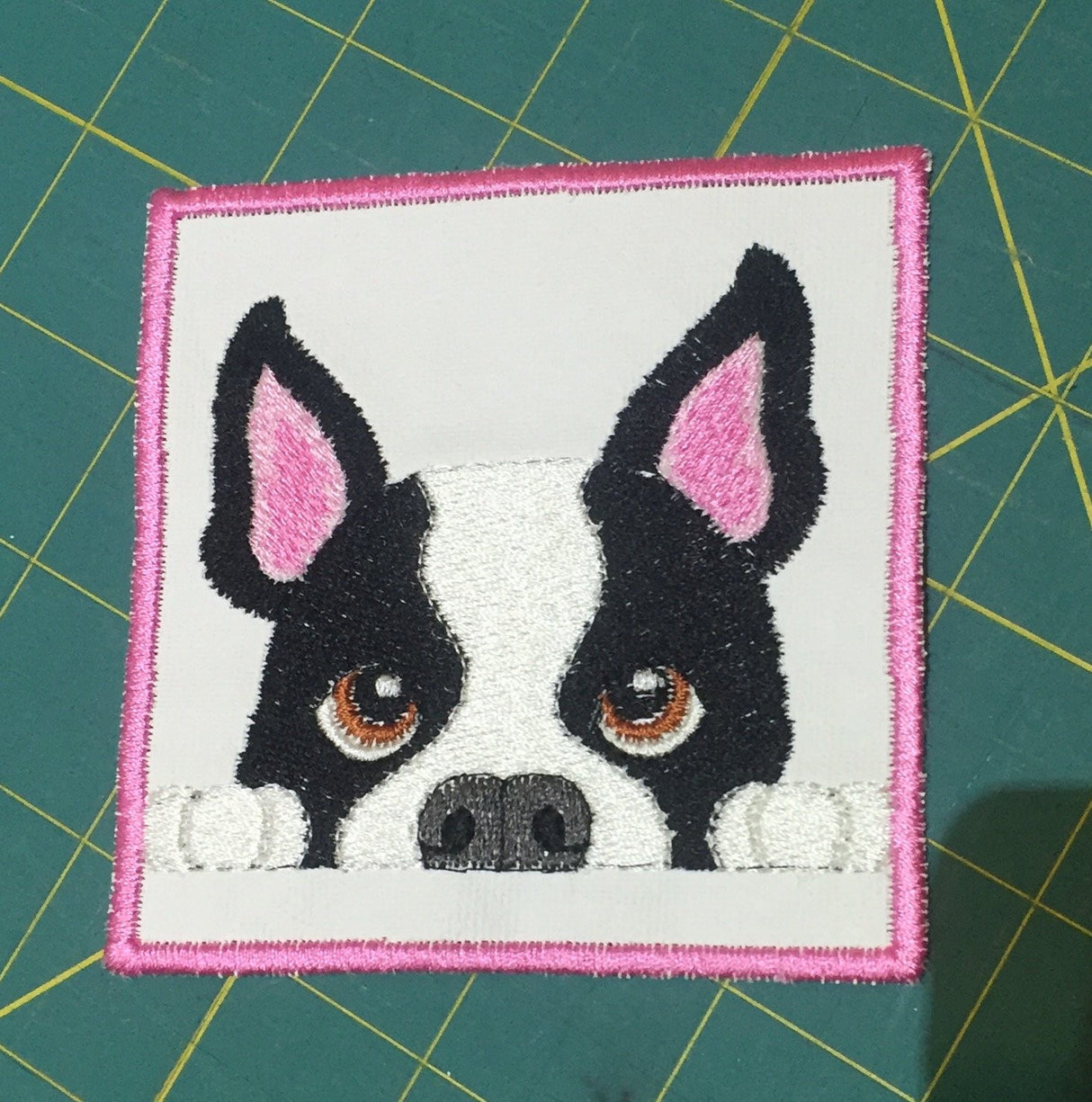 Boston Terrier Peek-A Boo Machine Embroidery Designs