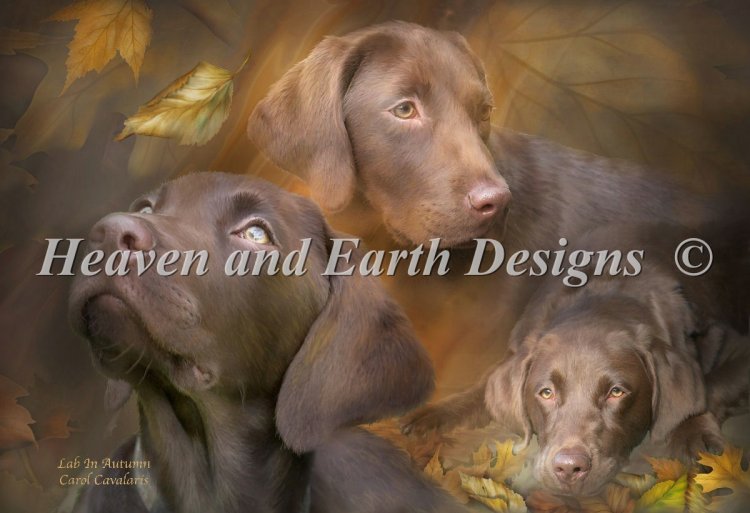 Lab In Autumn Cross Stitch By Carol Cavalaris