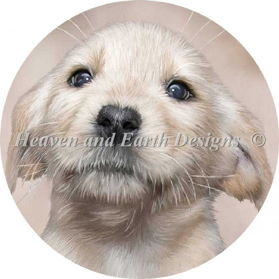 Ornament Yellow Lab Pup Cross Stitch By Carol Cavalaris
