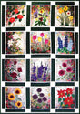 Rachel’s Flower Garden