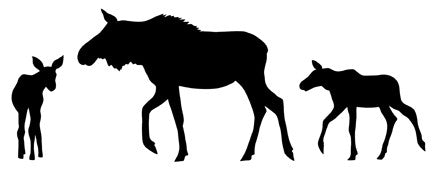 Wait Up! Pattern with Shapes