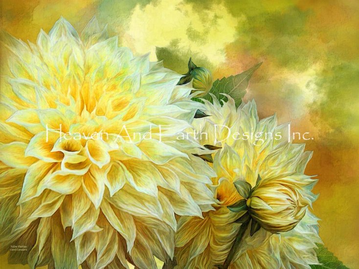 Yellow Dahlias Cross Stitch By Carol Cavalaris