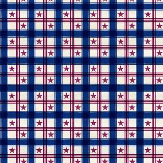 Valor Is Never Forgotten Quilt Fabric by Tara Reed