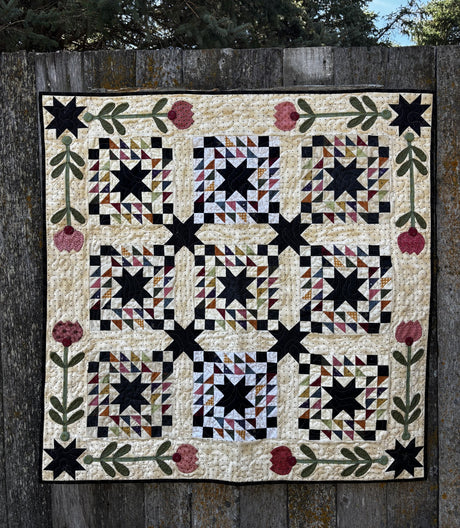 Starfire Downloadable Pattern by Snuggles Quilts