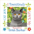 Fabric Art Panel 6in Square B.Shorthair Cat by Jody Houghton Designs
